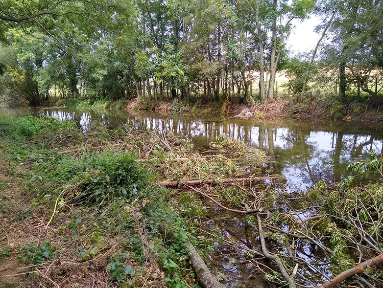 The Dorset Wild Rivers project is targeting biodiversity improvements within the county’s protected environments and species