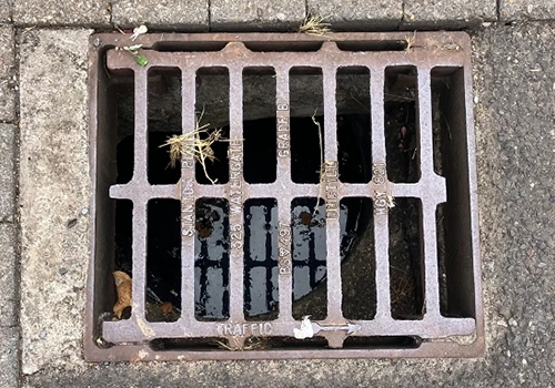 A rectangular roadside gully on the road, with parallel metal bars with surface water underneath.