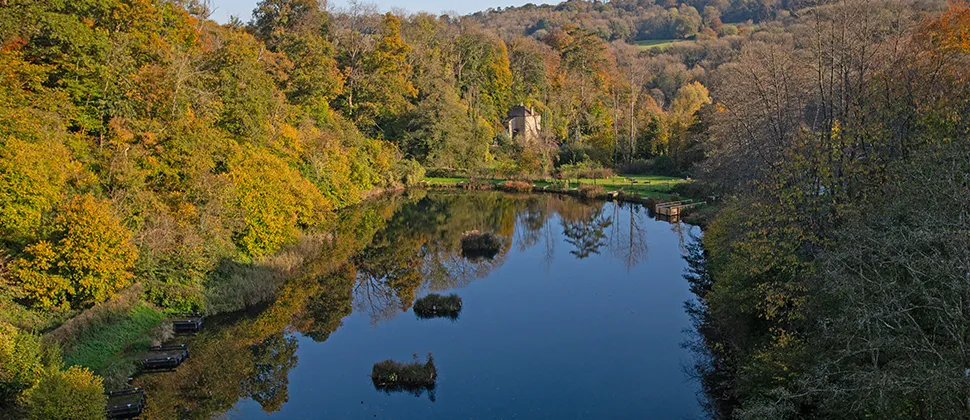 Aerial view of Tucking Mill surrounded by trees