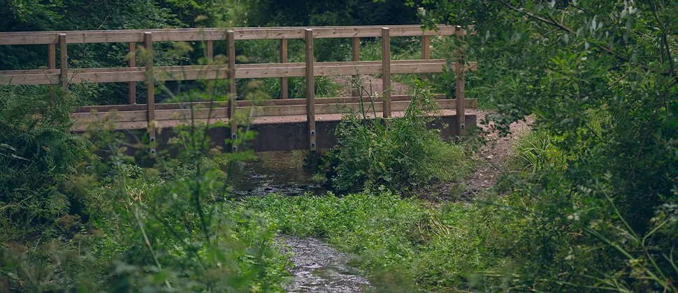 Breidge at Otterhead Lakes with a stream flowing beneath