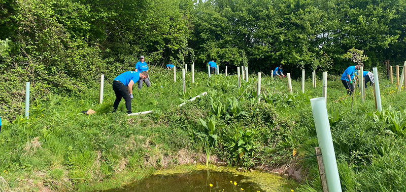 Waterforce volunteers planting trees near a pond